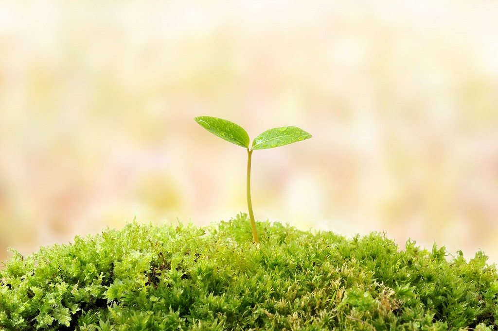 外構工事の職人が工事をする上で心掛けていること